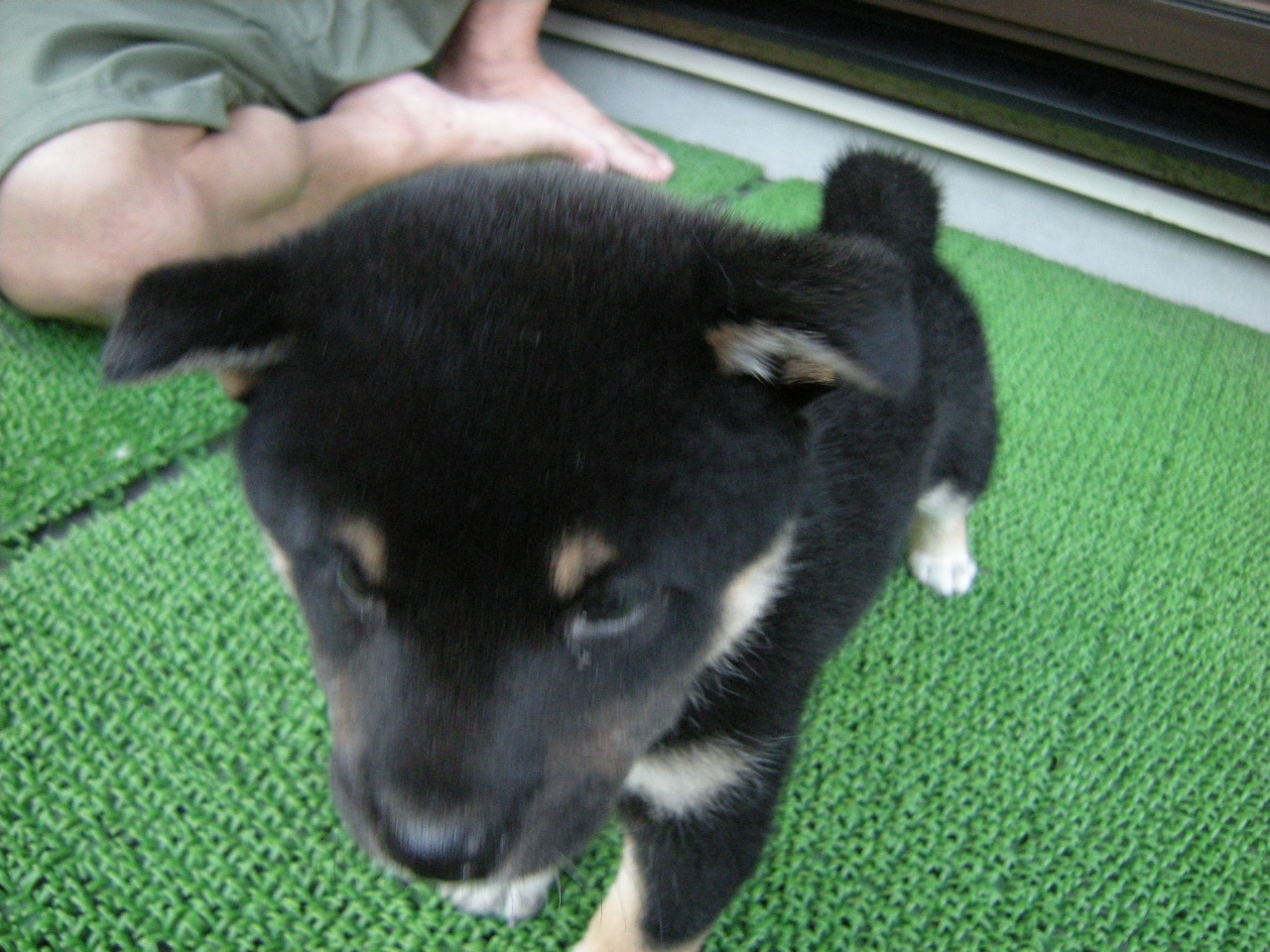 DSCN0715.JPG