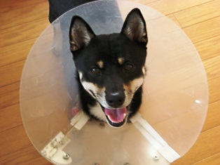 DSCN0785.JPG